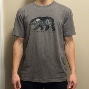 The North Face Gray Bear Mountain T-Shirt